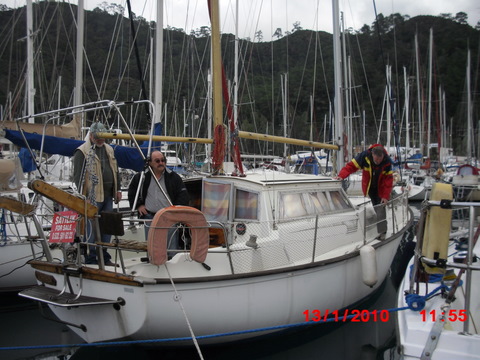 Brukbart kjøpeobjekt, synes Knut