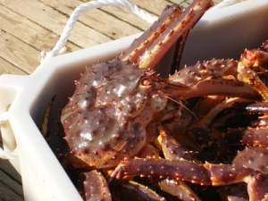 Ikke svært vakre akkurat