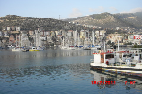 Gulet og fiskehavnen