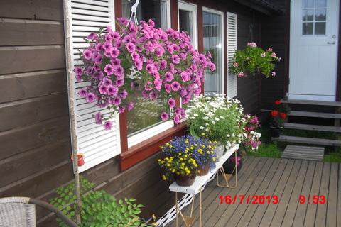 AM får til og med til til hage og blomster. Nå bugner det over alt