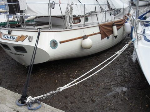 På vann eller på land?