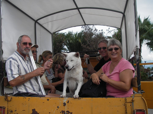 Stickan serverer gammel dansk mot skjørbuk