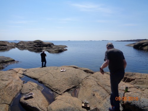 Fiske fra svabergene